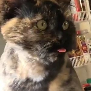 Meet your Posher, Robin